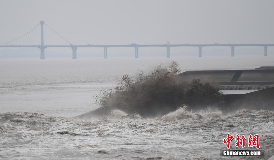 钱塘江大潮巨浪奔涌场面壮观