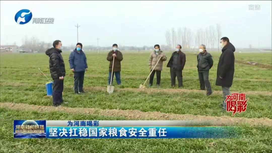 【为河南喝彩(二)】坚决扛稳国家粮食安全重任