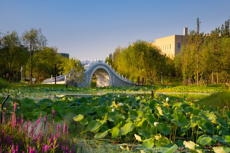 漯河西城:水韵花溪湿地公园创建为国家3a级旅游景区