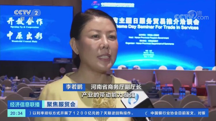 河南省商务厅副厅长 李若鹏投资的规模很大,产业的带动能力很强,这些