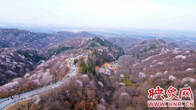 2月17日,位于光山县大苏山国家森林公园的王母观景区,四万两千多亩