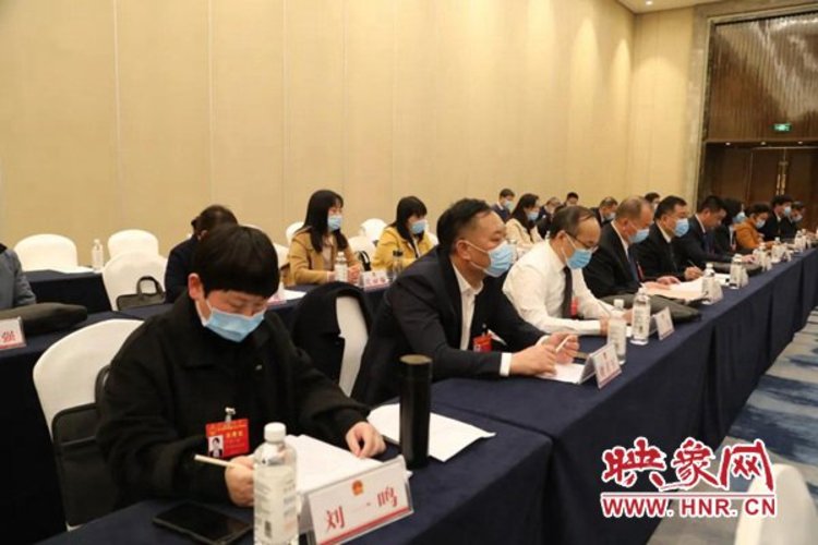 驻马店市委副书记市长朱是西参加平舆代表团审议讨论市政府工作报告