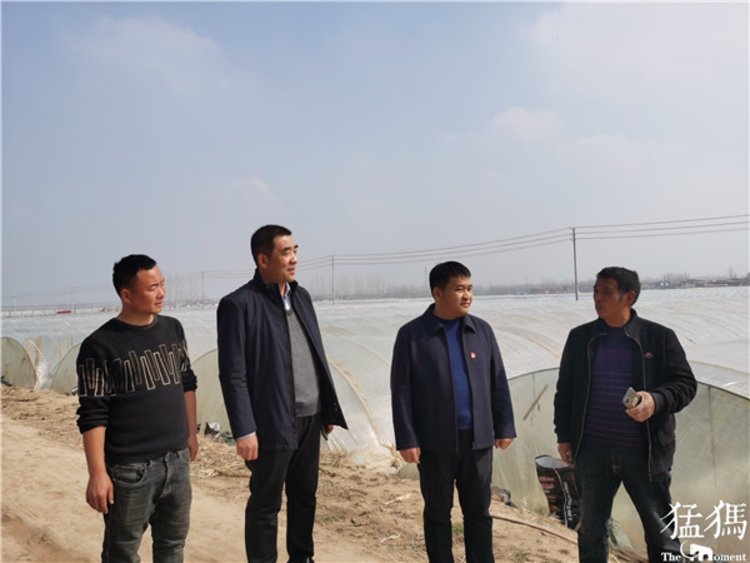 新春走基层丨尉氏县水坡镇党委书记李连江把红薯苗育成金秧子带领村民