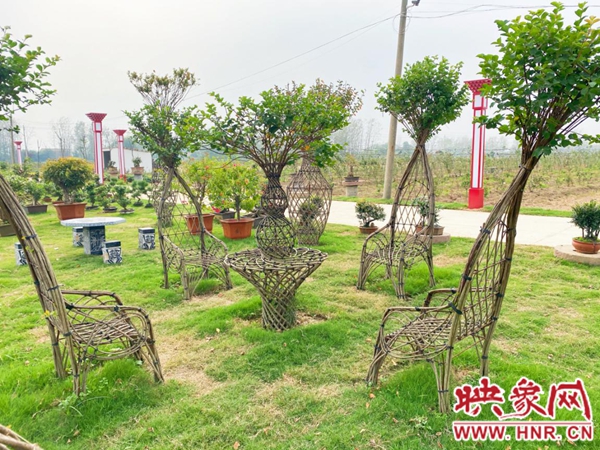 新蔡县首届园林园艺艺术节开幕