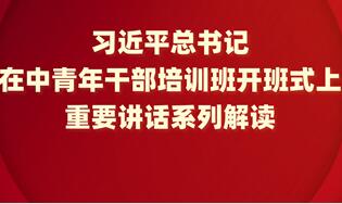 充分发扬钉钉子精神 推动年轻干部提高抓落实能力