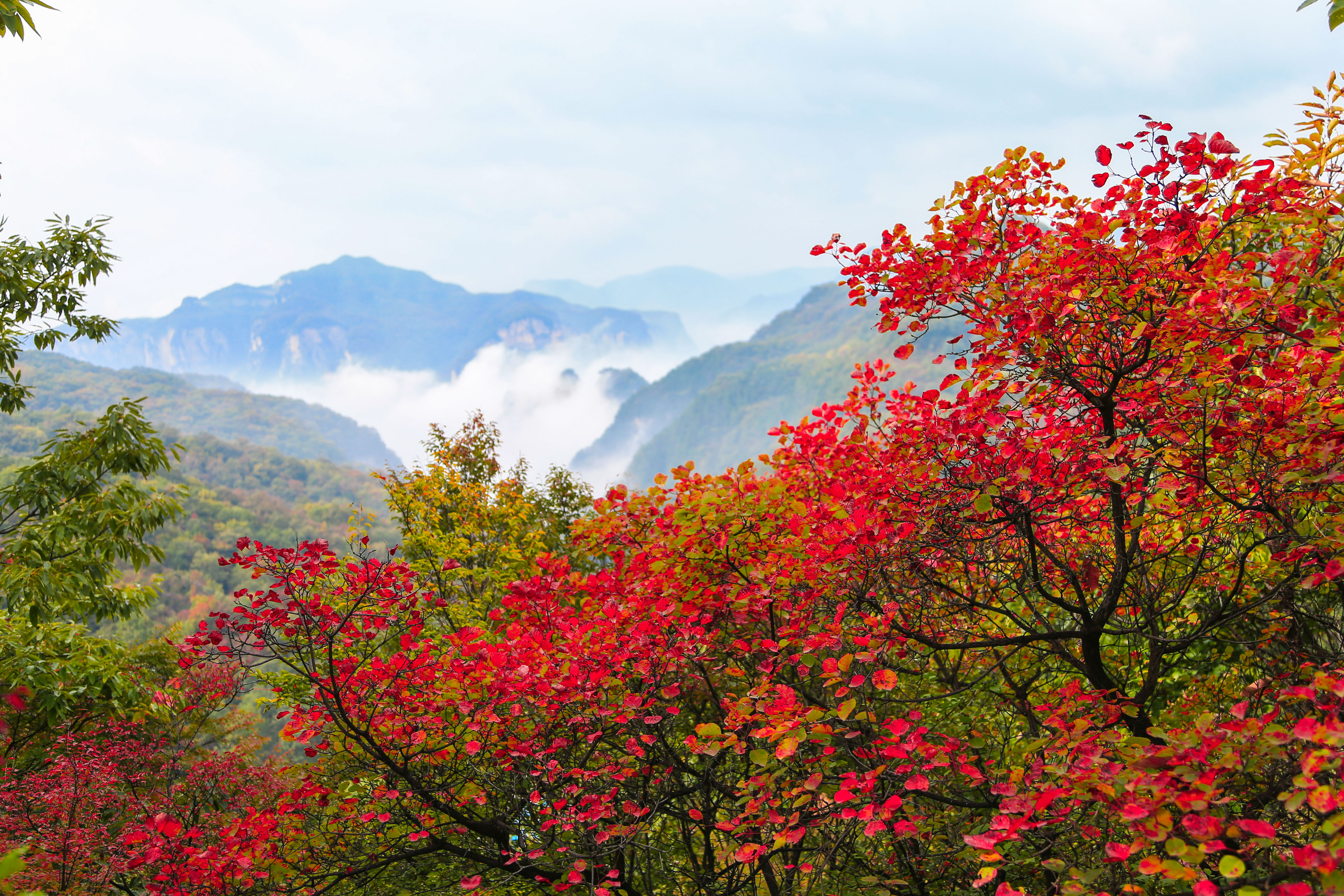 河南焦作太行美景惹人醉