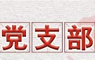 建强抓实党支部 提升机关党的建设质量