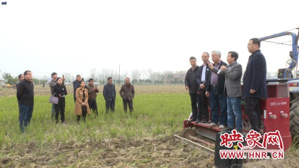 淮滨：专家指导种麦新模式 农机助力秋播加速度