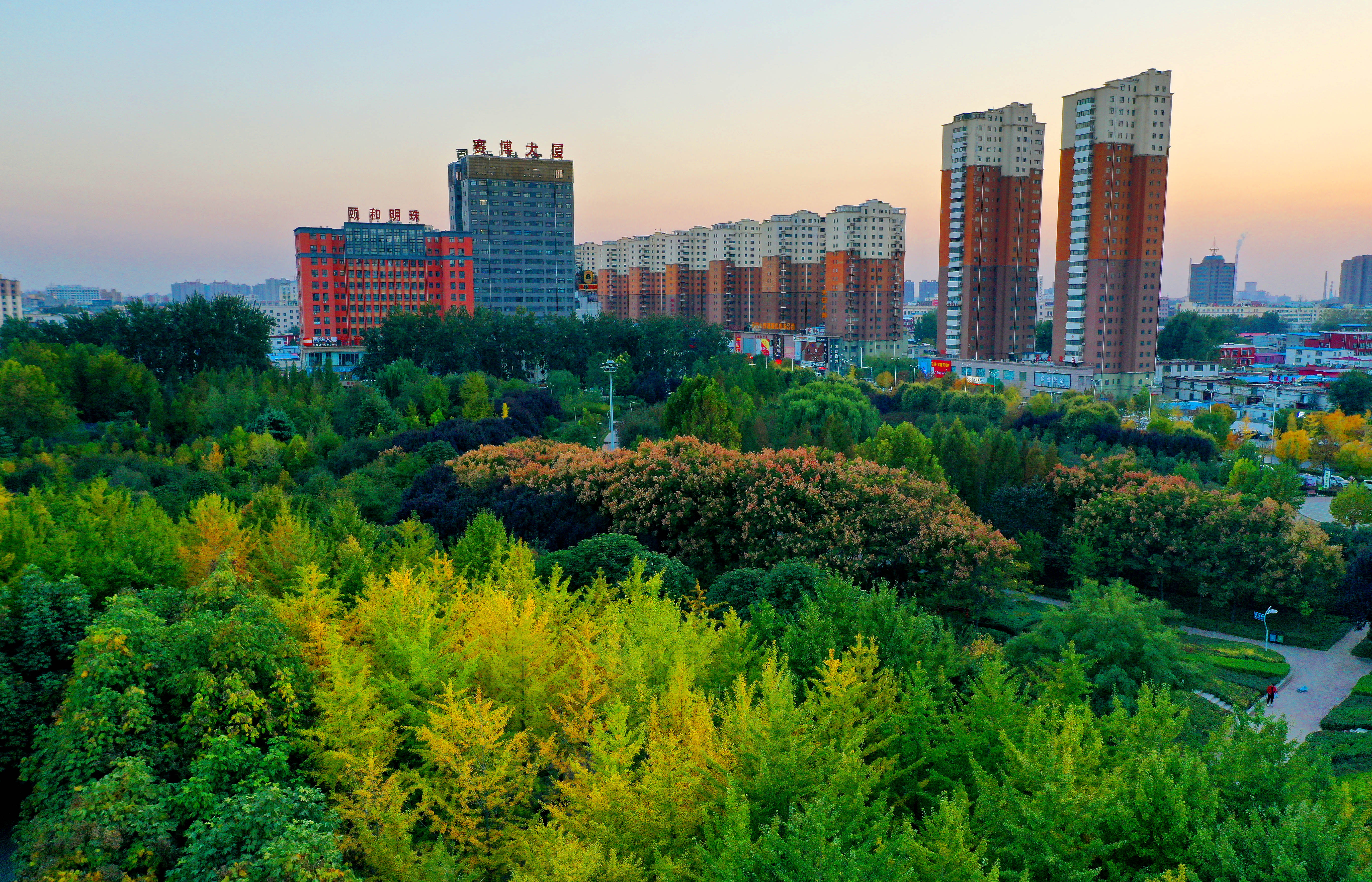 天高气爽河南濮阳秋色美如画