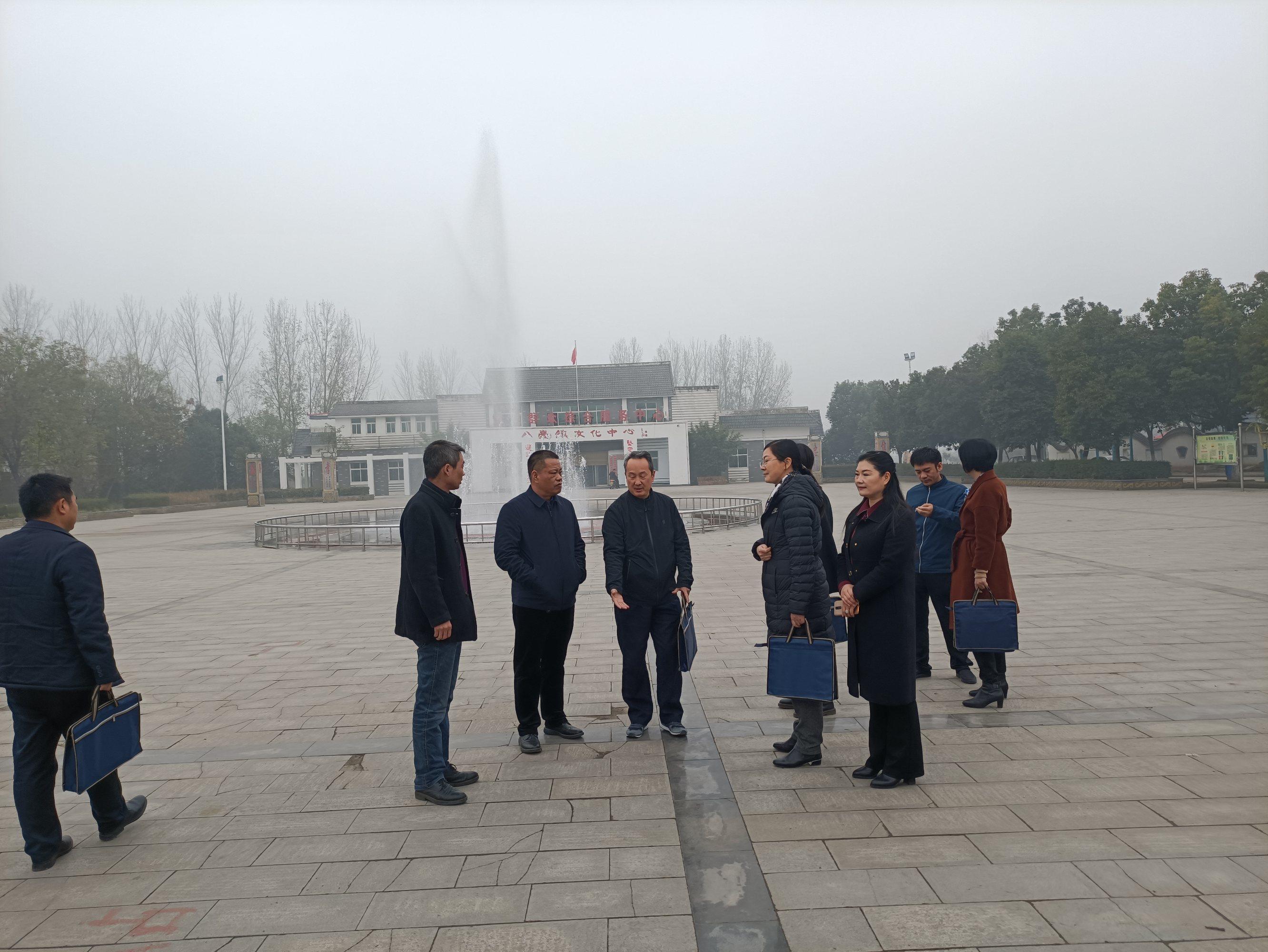 舞钢市八台镇迎接省级园林城镇创建工作考评验收