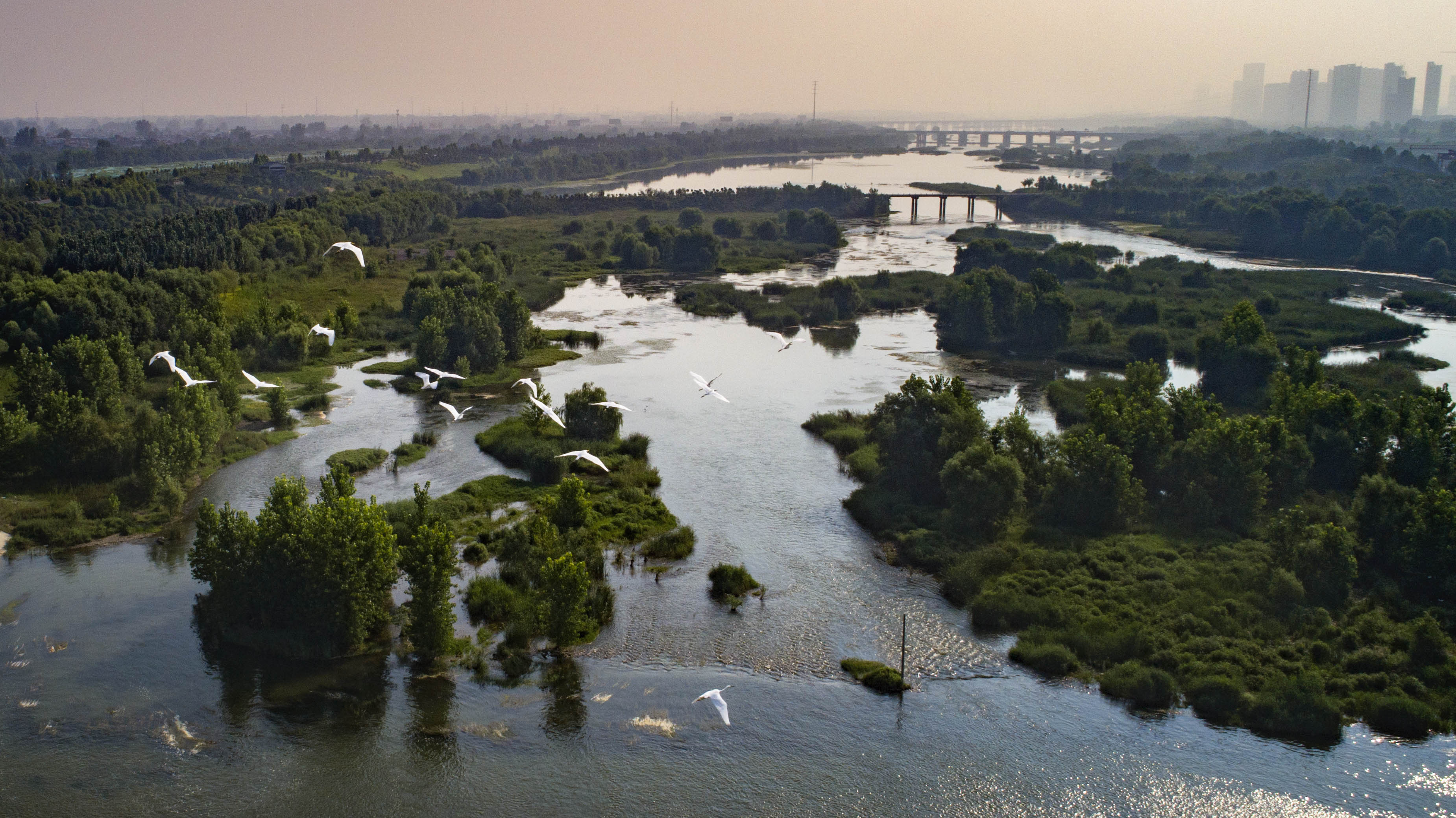 洛阳扎实推进新时代大保护大治理大提升治水兴水行动