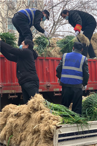 驻马店确山县爱心农民为郑州市管城回族区捐赠13吨蔬菜，以爱共战“疫”