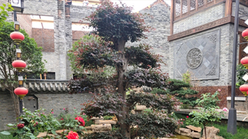伊川县:厚植发展优势 盘活沟域经济