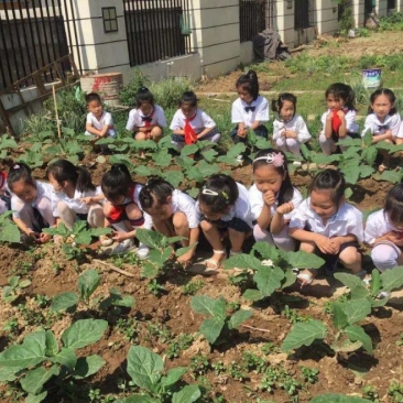 固始县元光小学开展实践活动