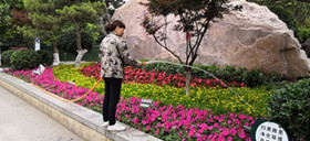 汝州市煤山公园持续开展绿化保苗工作