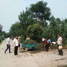 环境整治不停歇,乡村旧貌换新颜