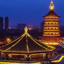 洛阳推出五条文博研学线路