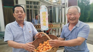 雷清松：百姓心中的那棵“青松”