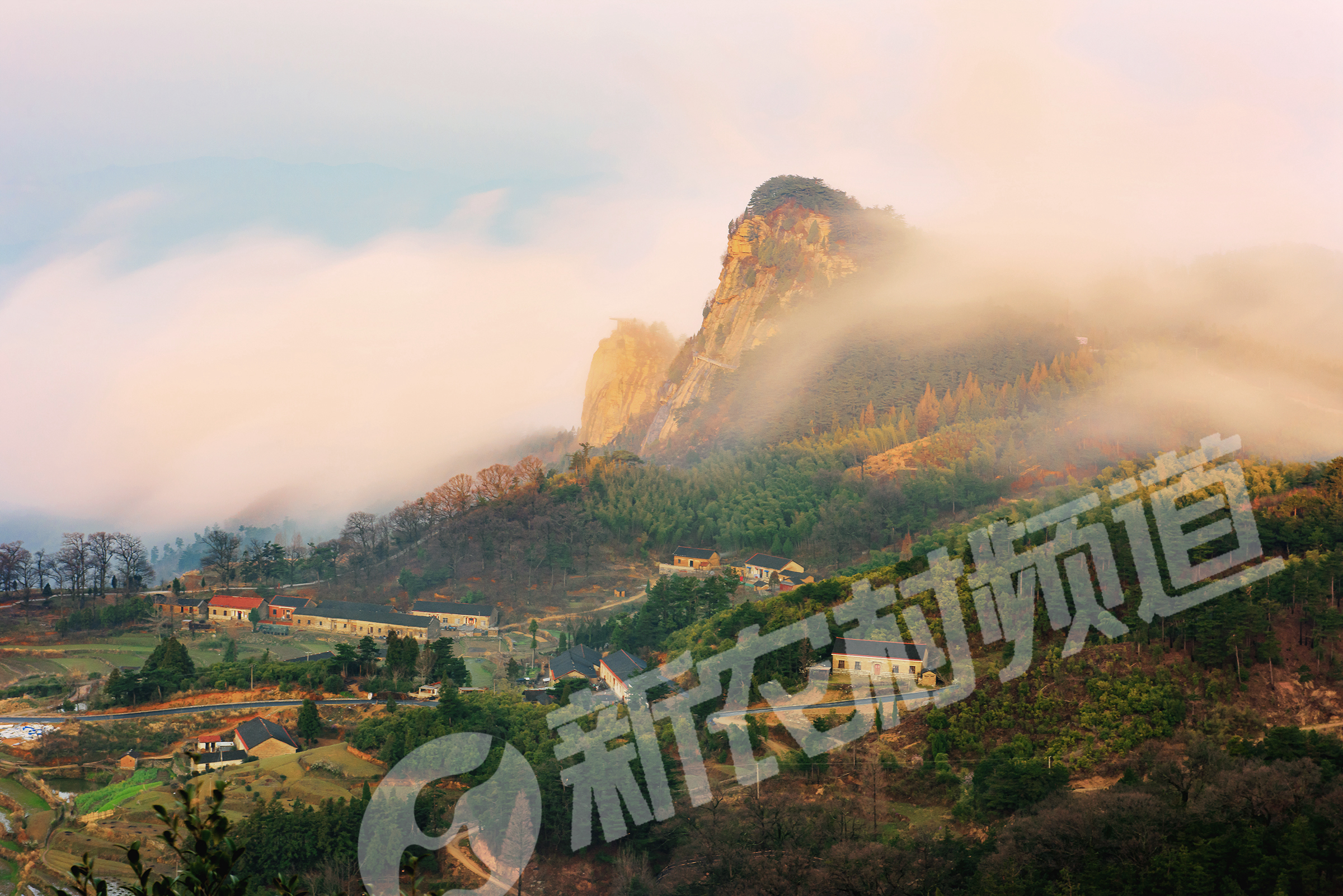 新农村频道记者王韬 今天上午,记