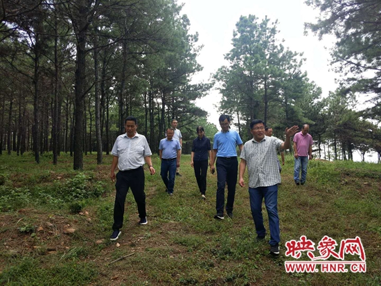 平顶山文化广电和旅游局徐渊到舞钢市调研民宿产业