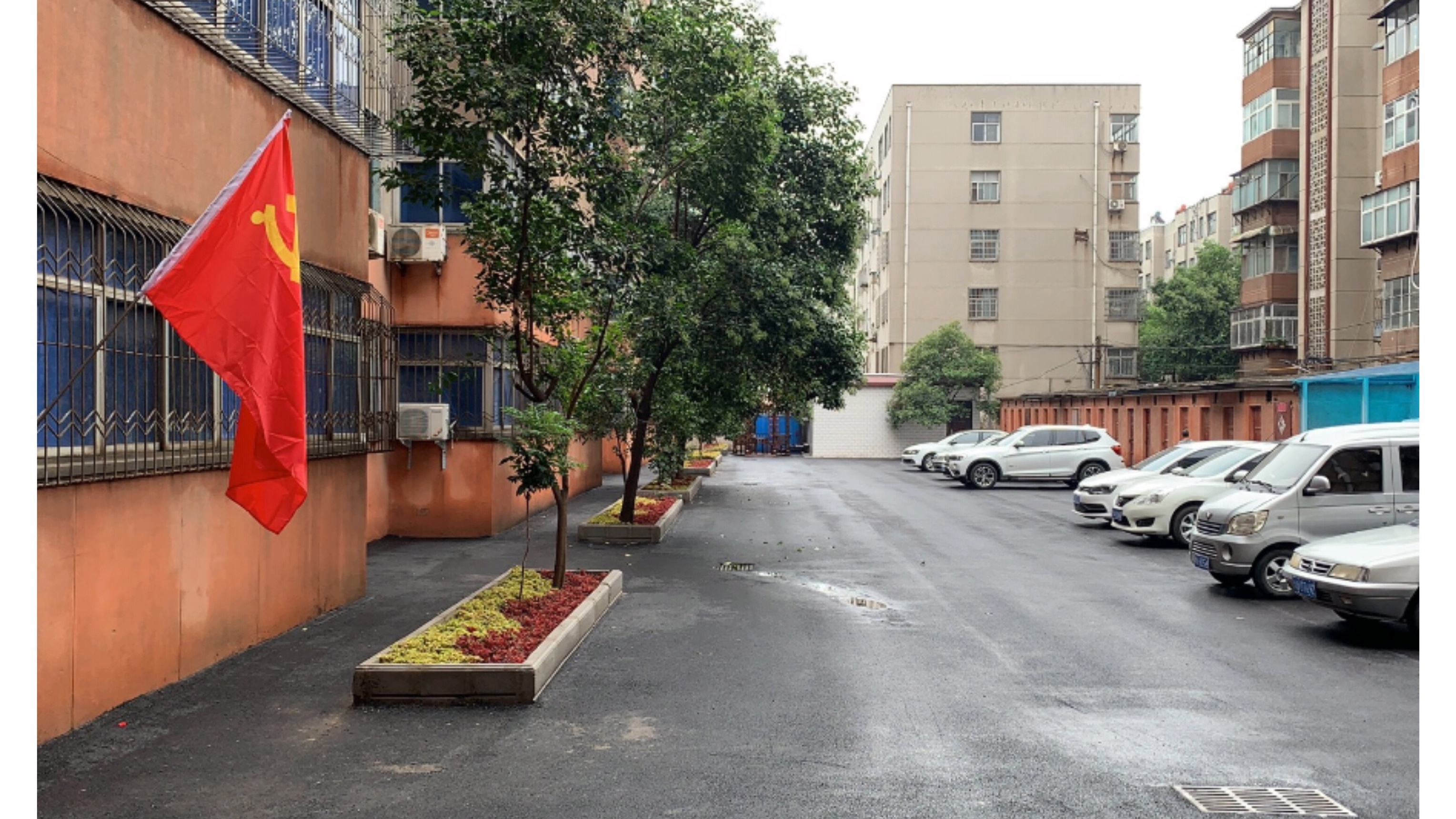 郑州市上街区中心路街道借创卫复审打造美好家园