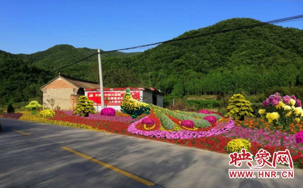 伏牛山第一届高山菊花节将在汝阳县付店镇举办
