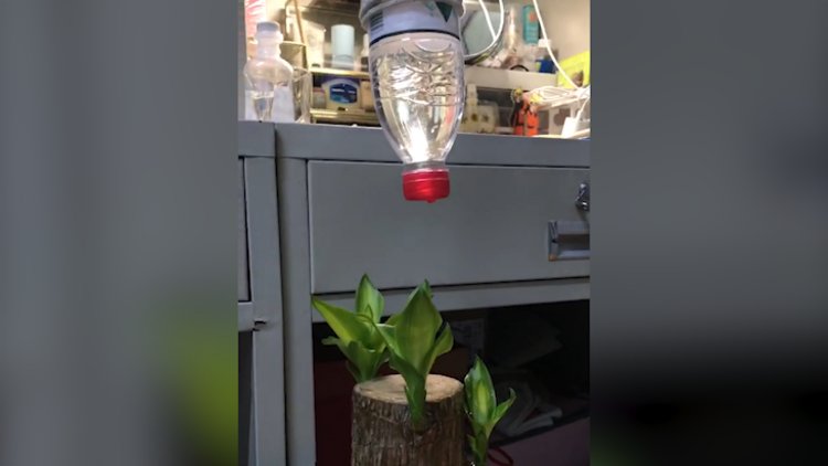 大学生放假前自制装备给盆栽浇水，网友：可以申请专利了