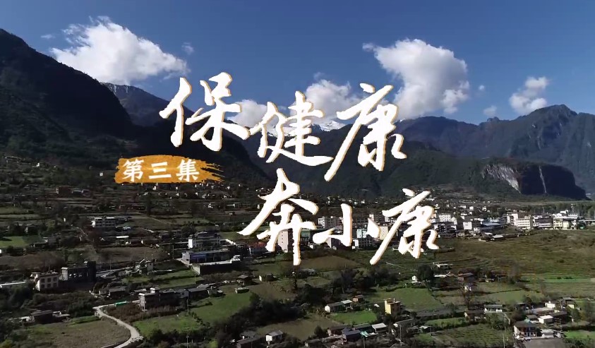 《遍地英雄下夕烟》第三集《保健康奔小康》