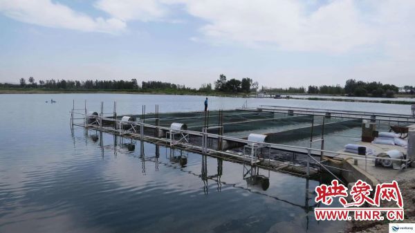 好消息！商丘市新增三家国家级水产健康养殖示范场