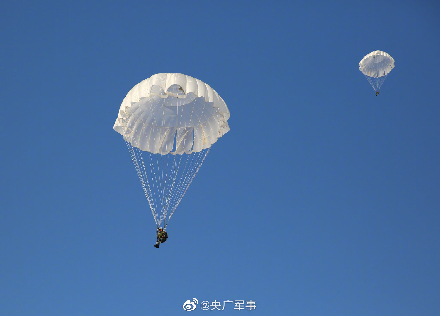 伞花朵朵新训空降女兵跳伞最美瞬间