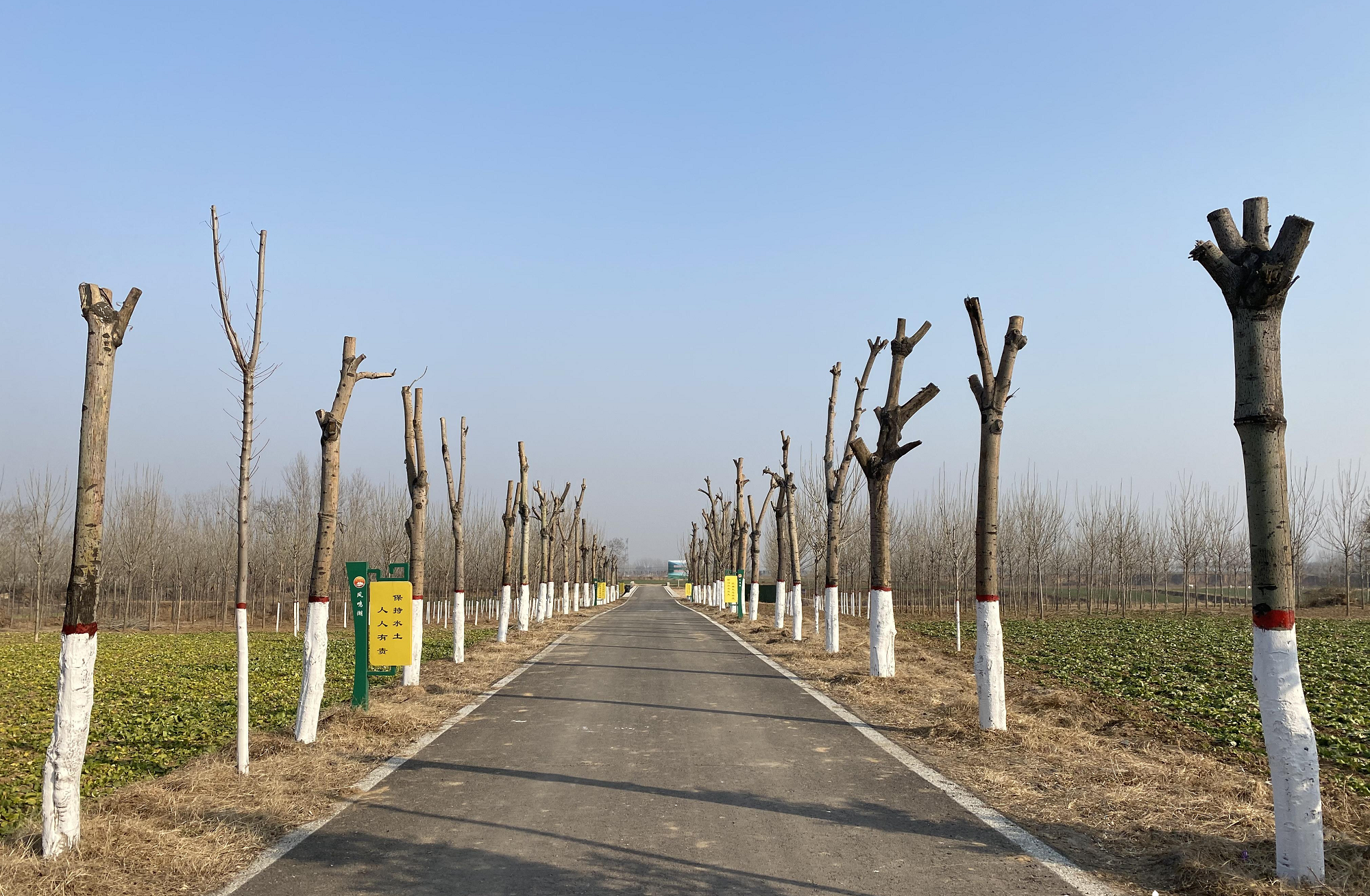 宝丰县：改善人居环境 打造绿色村庄