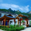 西峡县：生态产业筑牢乡村振兴根基