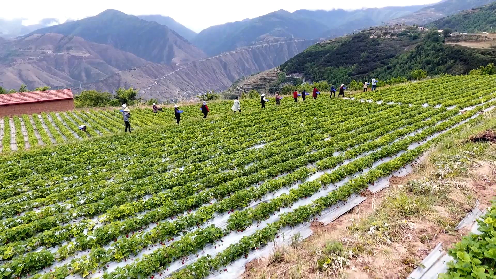 《一村一寨总关情》第一季05角木牛村