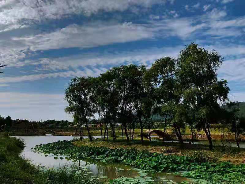 平顶山市卫东区：悠悠碧水浸润乡愁