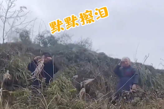 爷爷奶奶含泪挥手目送孙女离开