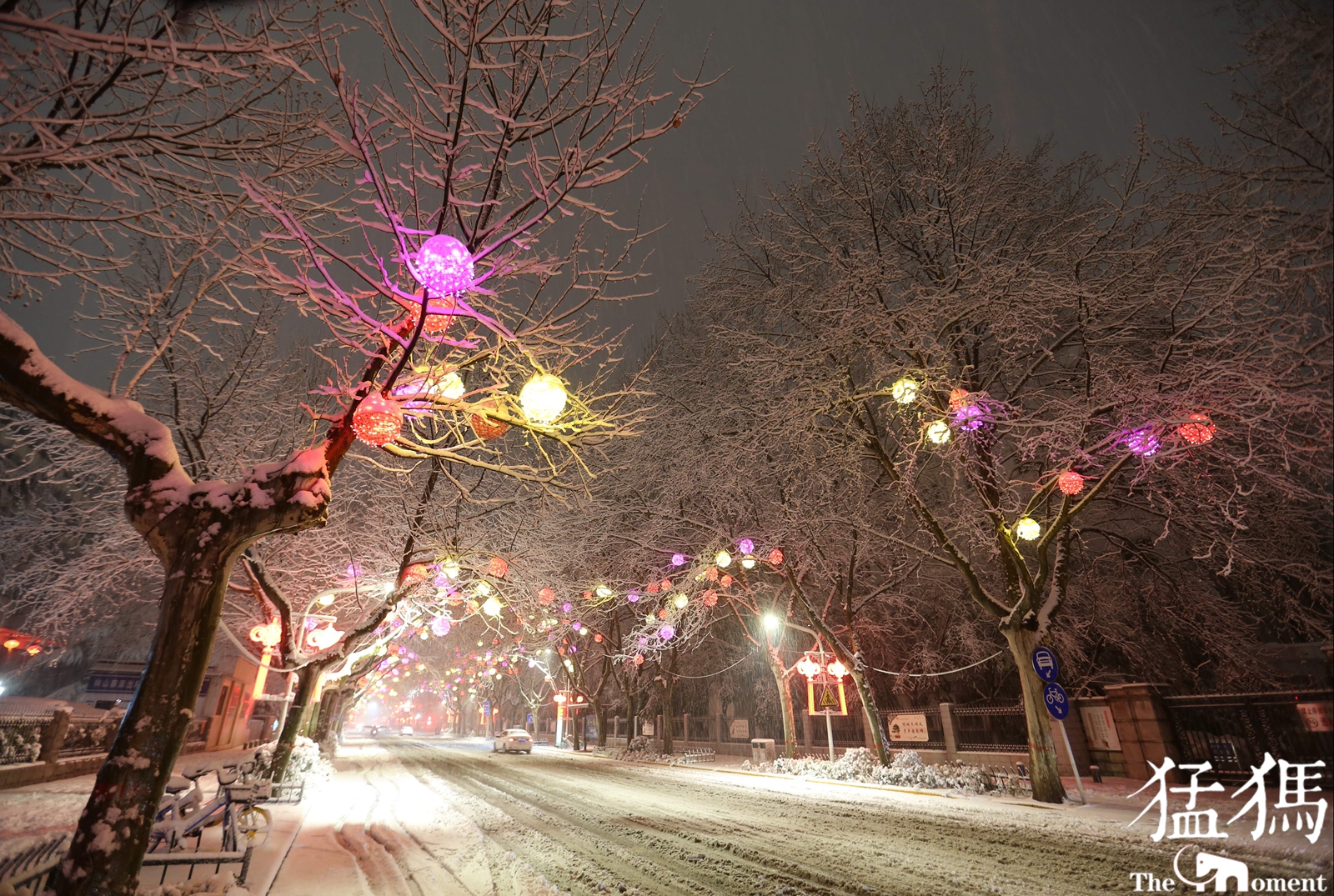 雪打灯郑州春雷送来大雪夜间街头呈现难得雪景