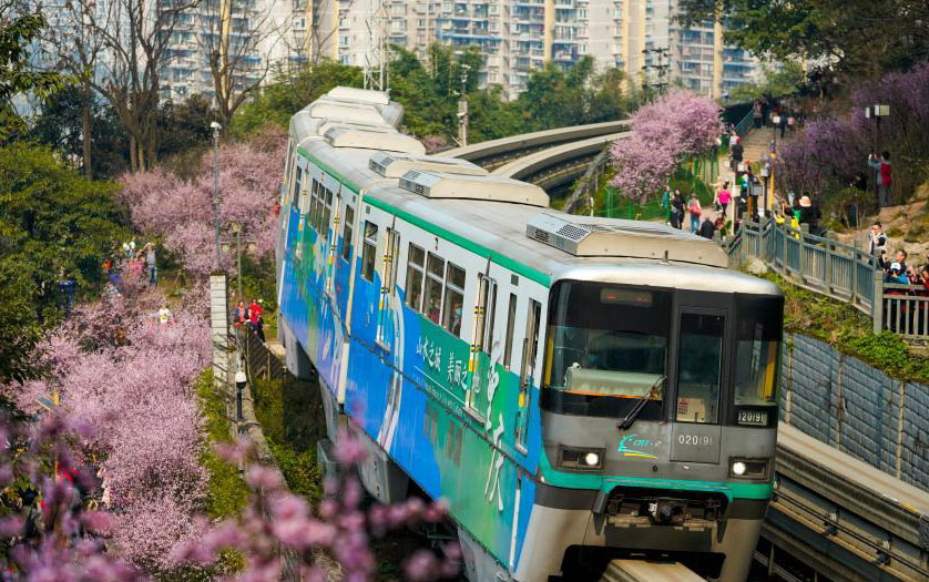 重庆：一路繁花相送 带你驶向春天