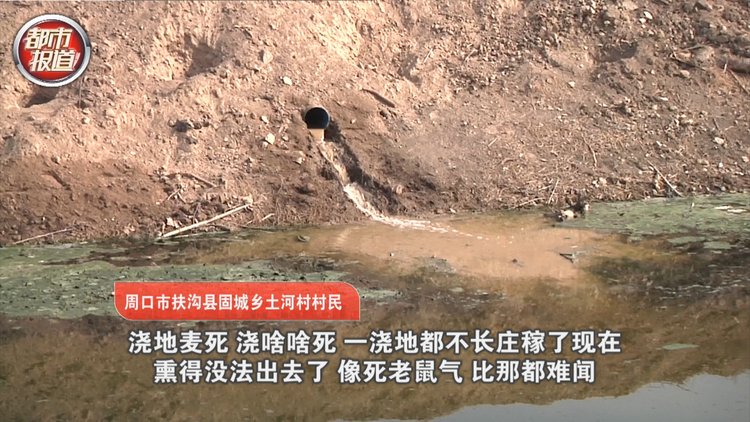 绝不护短!周口男子匿名举报污染被打致颅脑损伤!官方回应来了