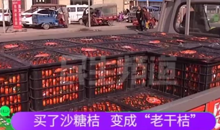 买了砂糖桔变成“老干桔”？商户要求退货遭遇不可思议一幕……