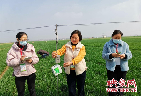 杞县：农情监测为春季花生播种奠定基础