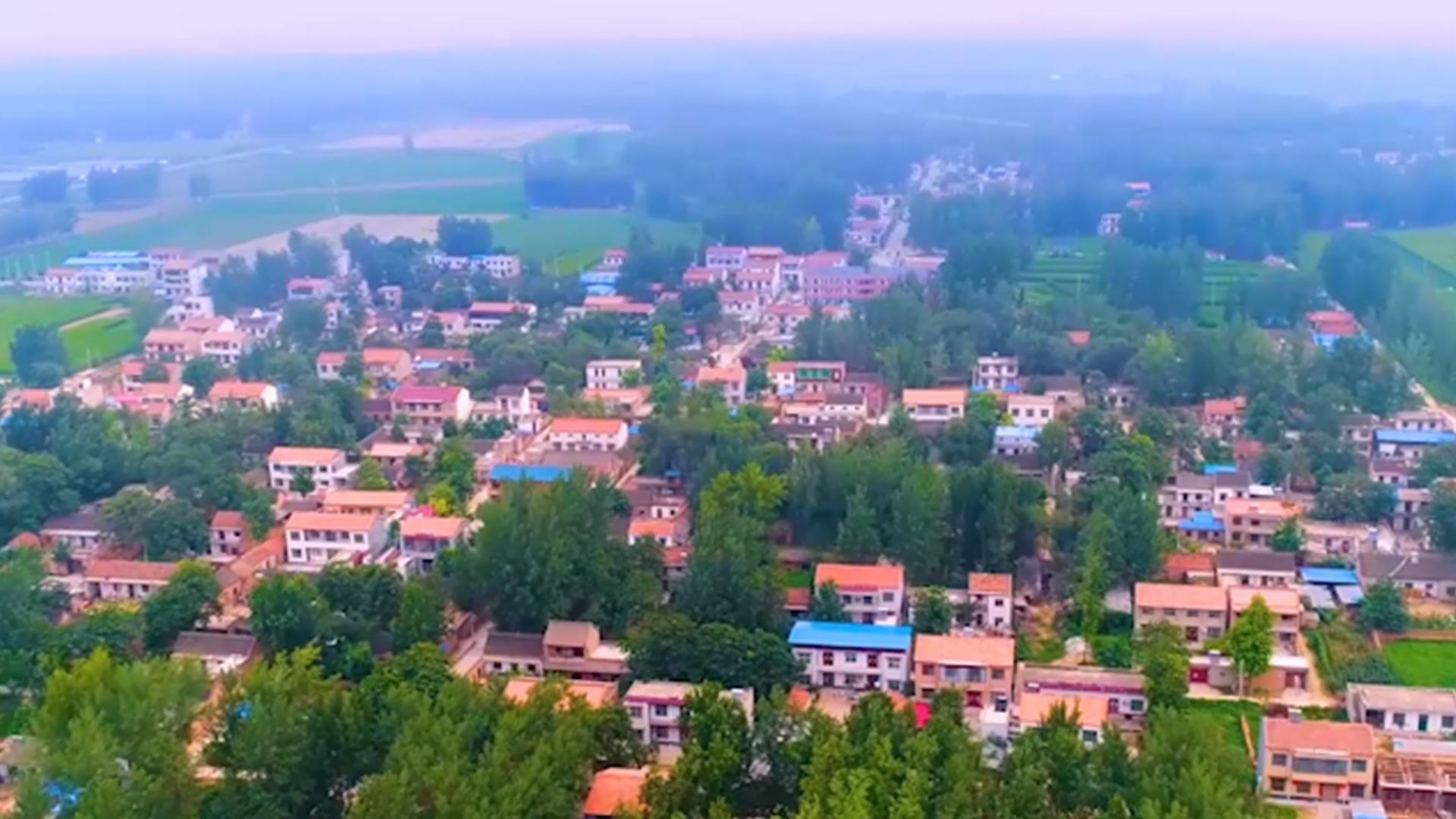 十八庄十八变丨开封兰考张庄发展产业走上幸福路