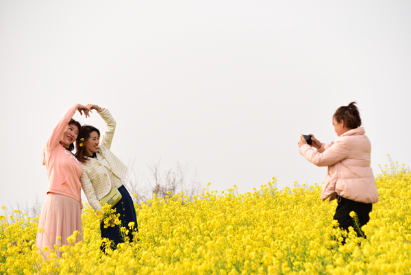 嵩县：春季赏花正当时 百花烂漫等你来