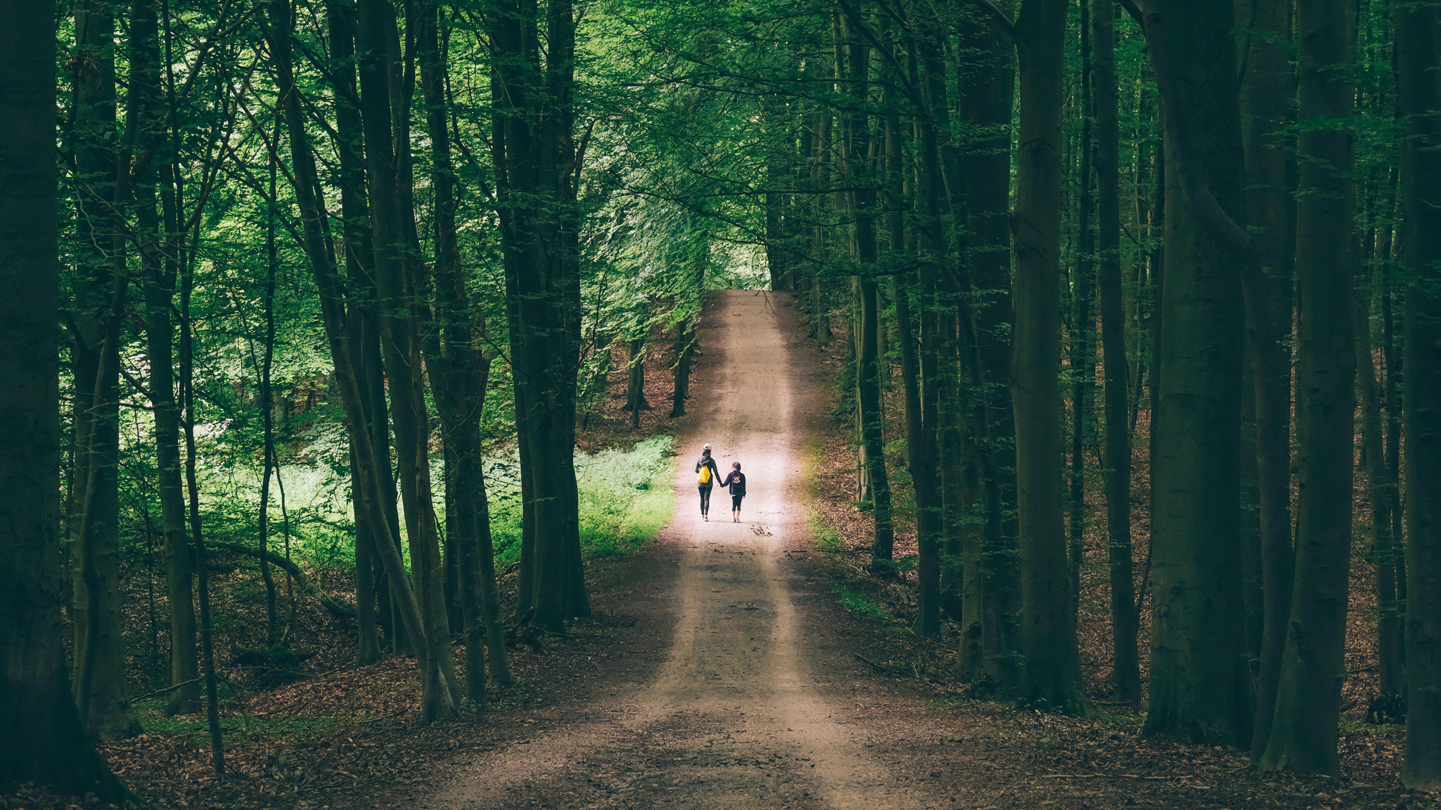 为你打包了来自森林的好空气一起来深呼吸