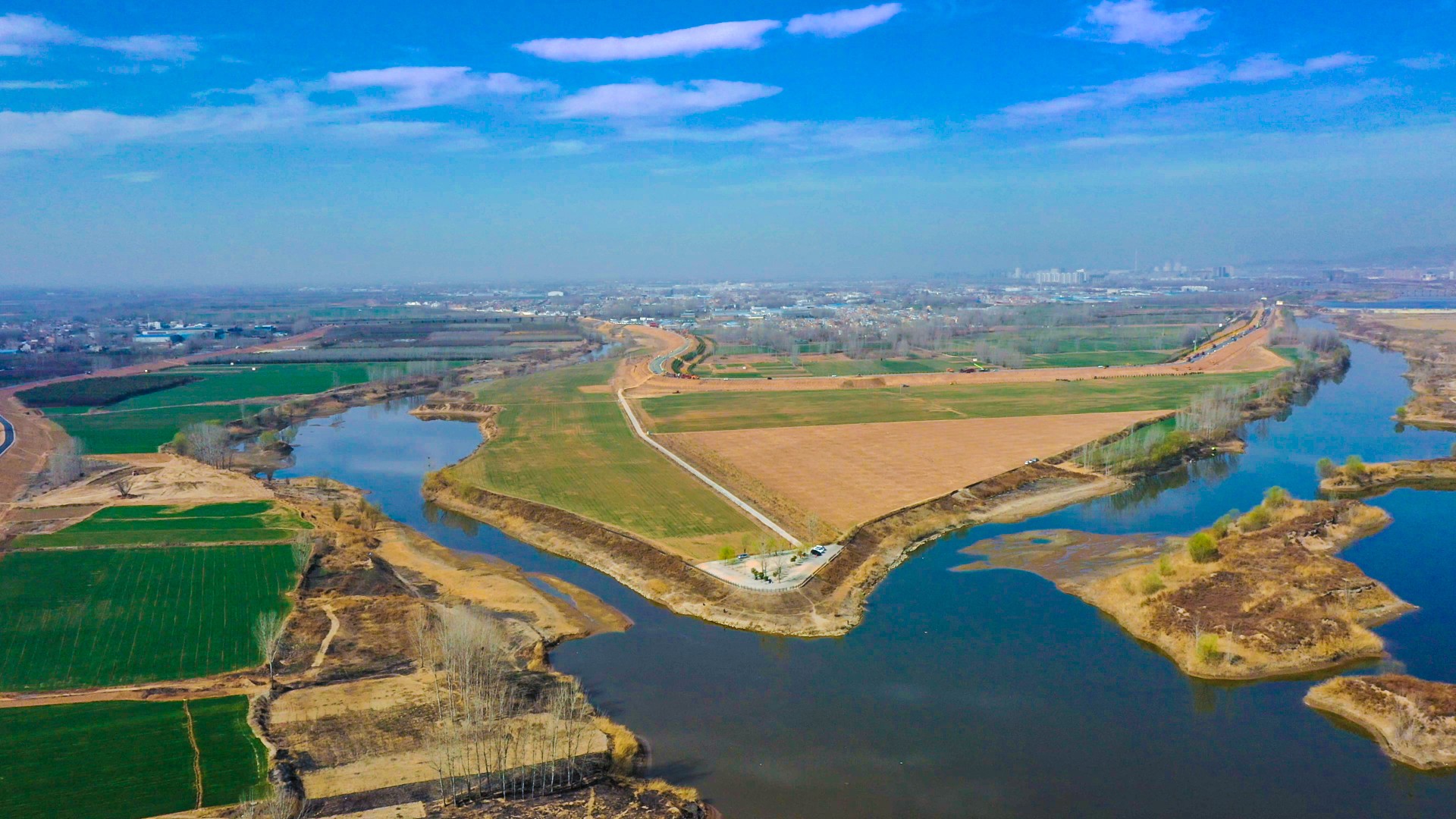 河南洛阳偃师伊洛河河道已累计完成绿化面积100万平方米