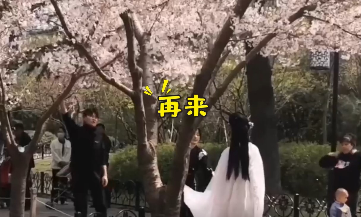 为了拍照什么都可以做？樱花树都要秃了
