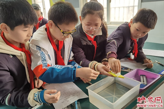 郑州市二七区培育小学：十大名片课 交流碰撞进行时