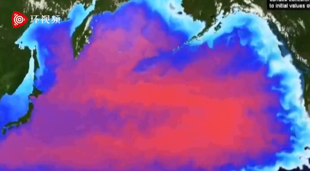 关注：日本正式决定将福岛核废水排向大海 我们还能安心吃海产品吗