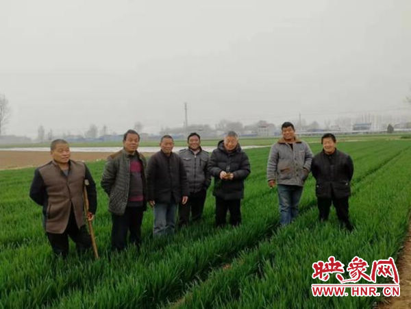 通许县：大力开展病虫害防治 为丰产丰收打下坚实基础