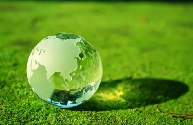 蓝虹:发展绿色金融高效助力