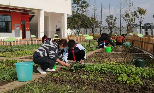 河南这4地将成为全国中小学劳动教育实验区